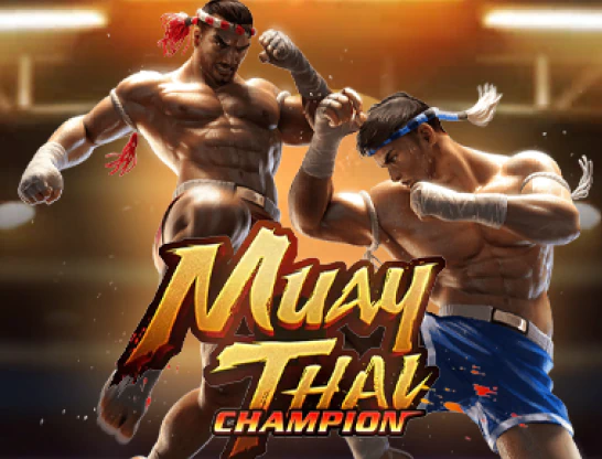Muay Thai Champion